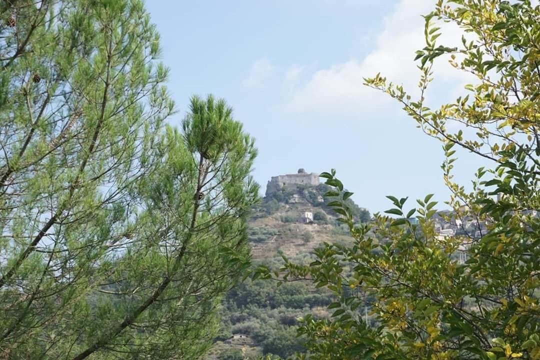 Animosa Suites 卡迪里翁西塞尔 外观 照片